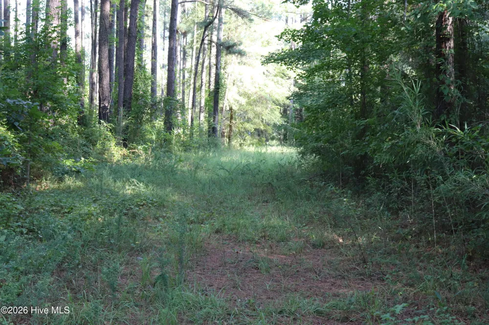 Tbd River Haven Lane Harrells, NC 28444