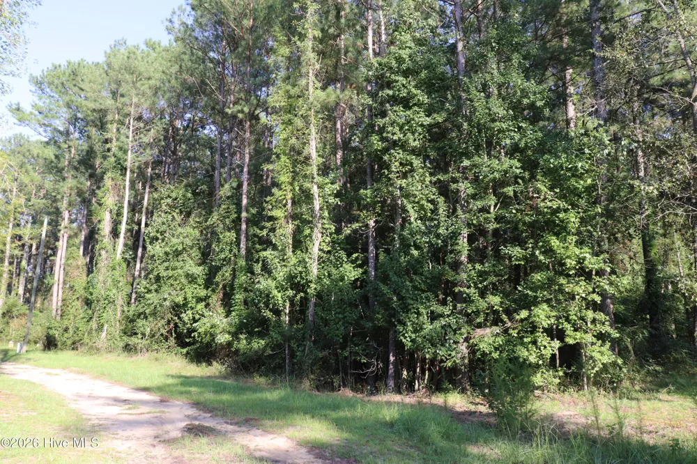 Tbd River Haven Lane Harrells, NC 28444