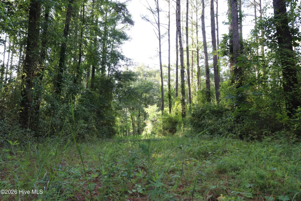 Tbd River Haven Lane Harrells, NC 28444