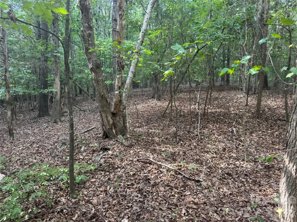 7.5 Acres Old Camden Monroe Highway Lancaster, SC 29720