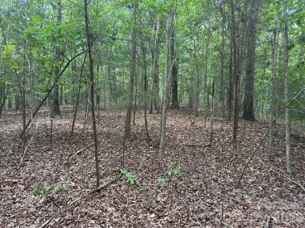 7.5 Acres Old Camden Monroe Highway Lancaster, SC 29720