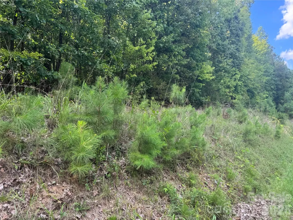 7.5 Acres Old Camden Monroe Highway Lancaster, SC 29720
