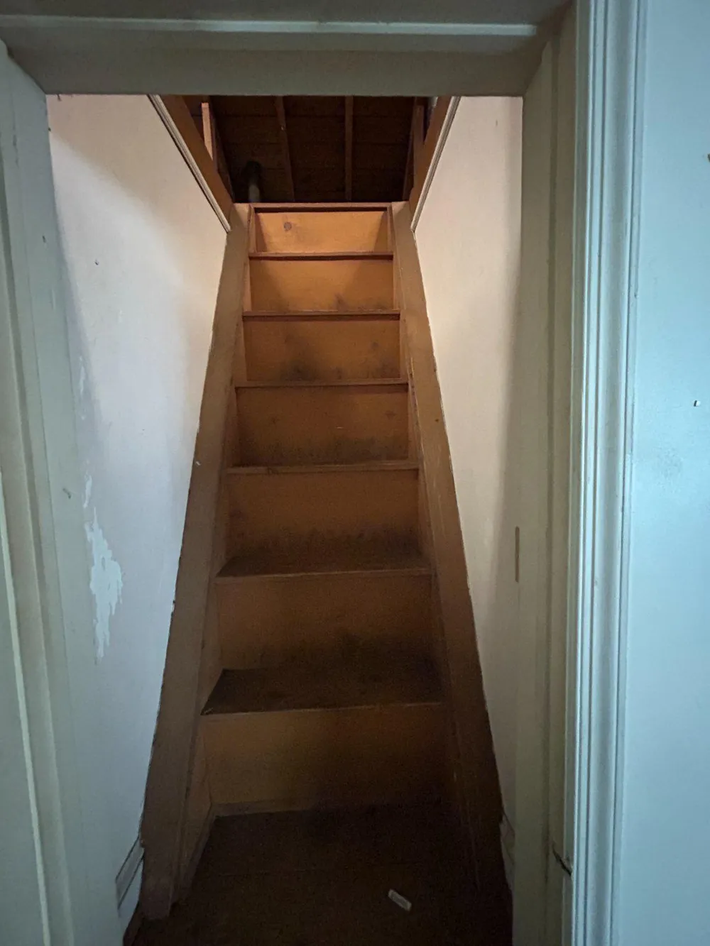 5907 2ND STREET S Arlington, VA 22204