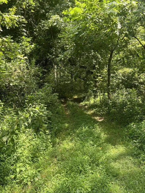 0 Martin Road