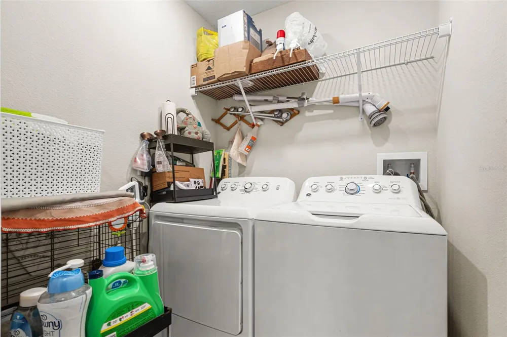 7201 SWEET ALYSSUM CT COURT Tampa, FL 33619