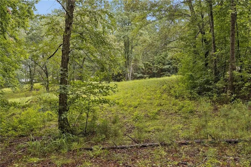 1736 Harmony Grove Church Road Acworth, GA 30101