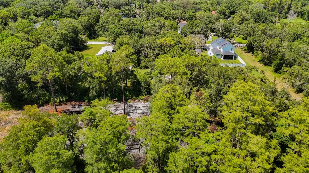 ANNO STREET Tampa, FL 33625