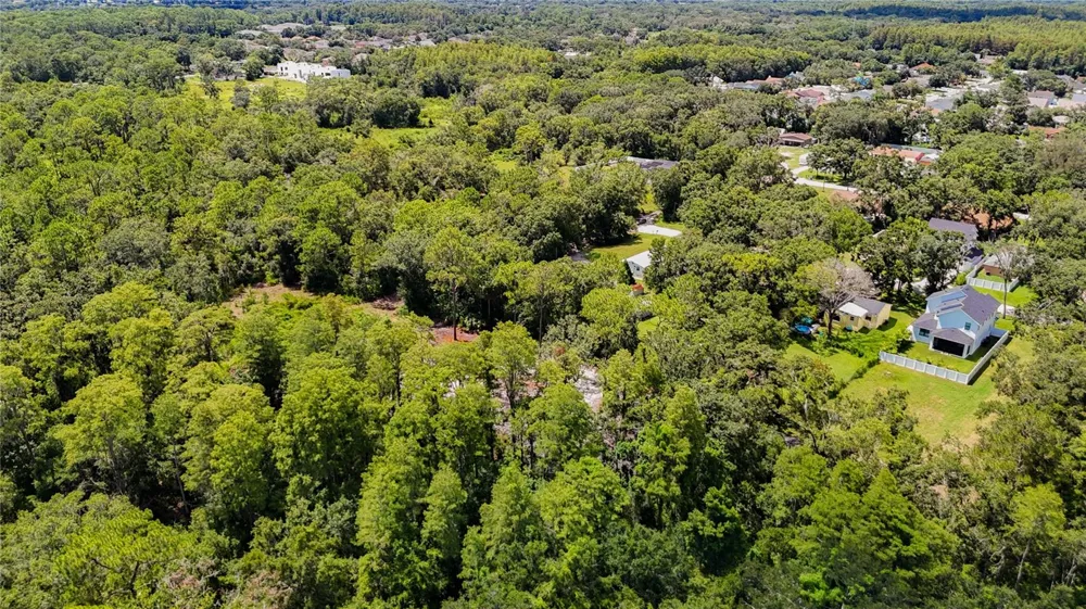 ANNO STREET Tampa, FL 33625
