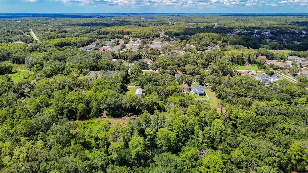 ANNO STREET Tampa, FL 33625