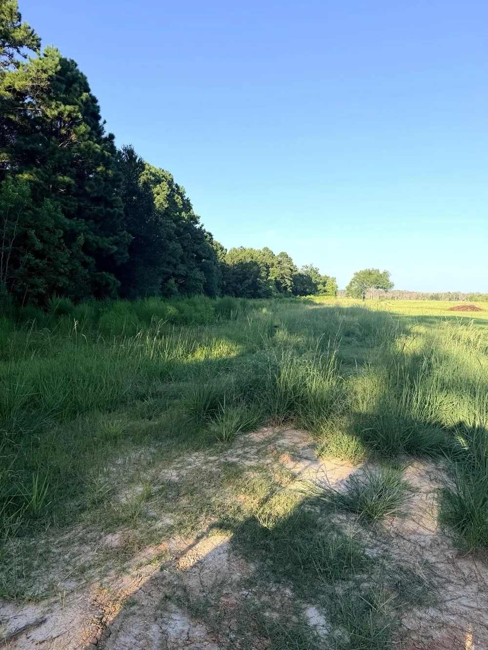 County Road 3114 Buna, TX 77612