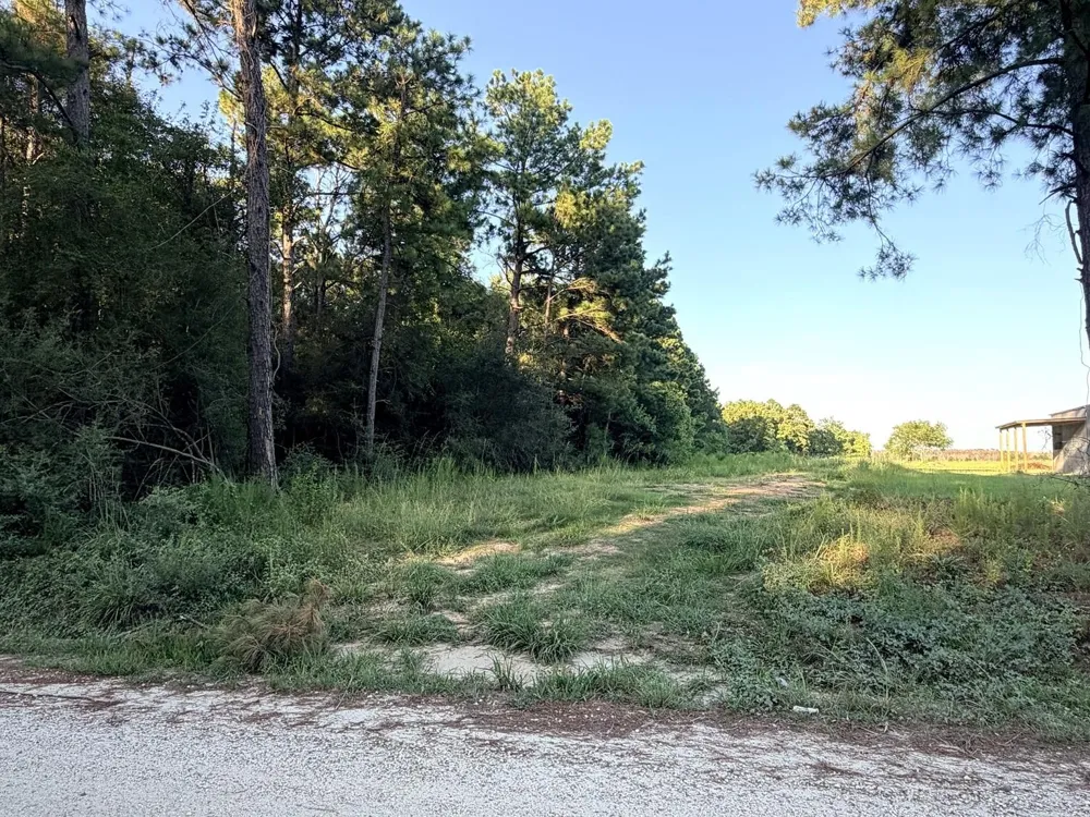 County Road 3114 Buna, TX 77612