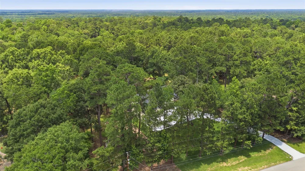 40203 Cimarron Way Magnolia, TX 77354