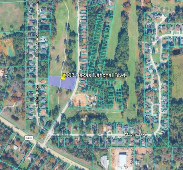 3 Texas National Willis, TX 77303