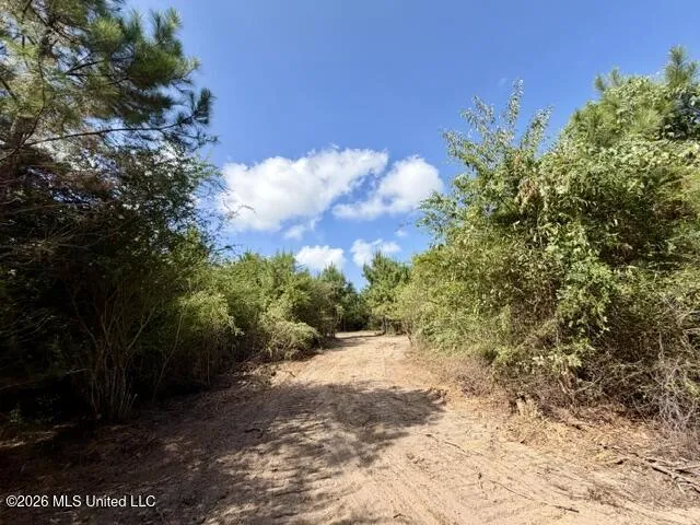 Robert Bateman Road Franklinton, LA 70438