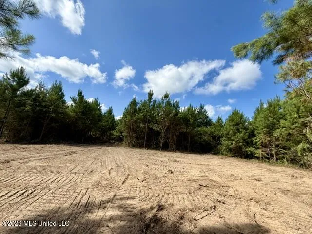Robert Bateman Road Franklinton, LA 70438