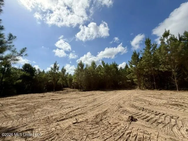 Robert Bateman Road Franklinton, LA 70438