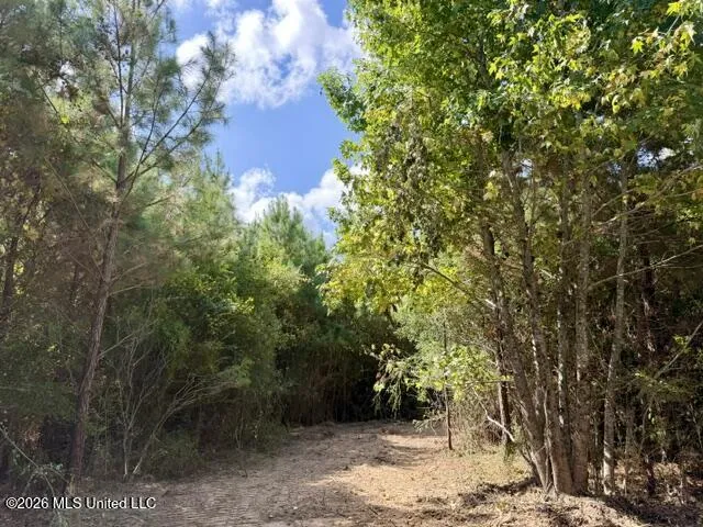 Robert Bateman Road Franklinton, LA 70438
