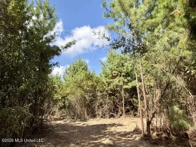 Robert Bateman Road Franklinton, LA 70438