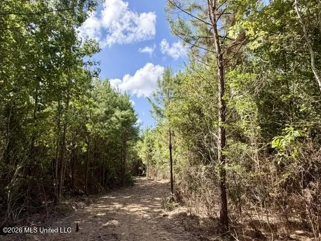 Robert Bateman Road Franklinton, LA 70438