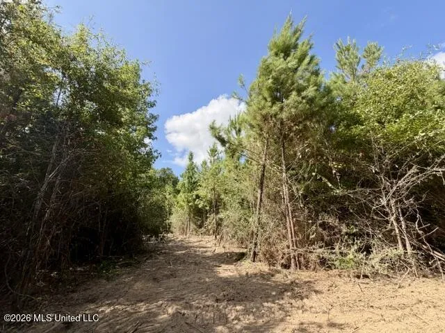 Robert Bateman Road Franklinton, LA 70438