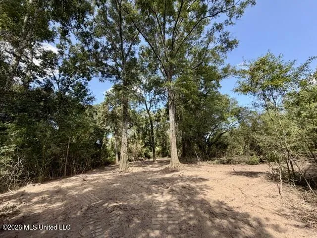 Robert Bateman Road Franklinton, LA 70438