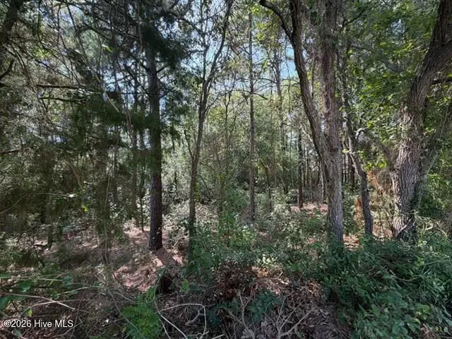289 Okeechobee Road Wilmington, NC 28412