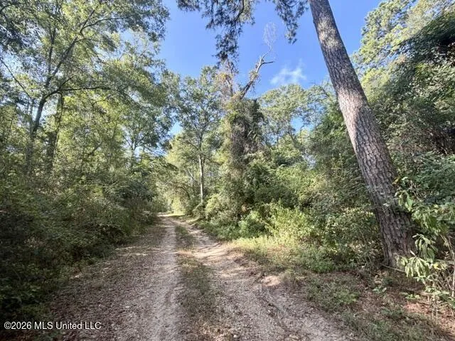 Robert Bateman Road Franklinton, LA 70438