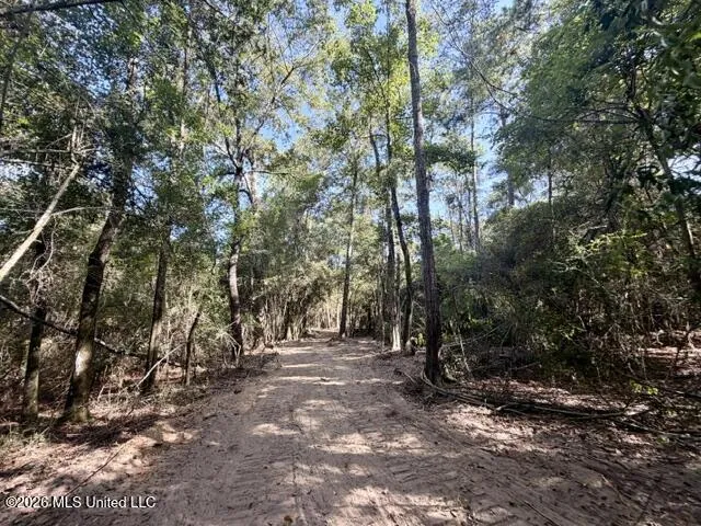 Robert Bateman Road Franklinton, LA 70438