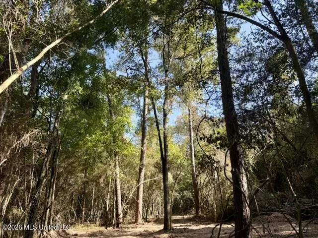 Robert Bateman Road Franklinton, LA 70438