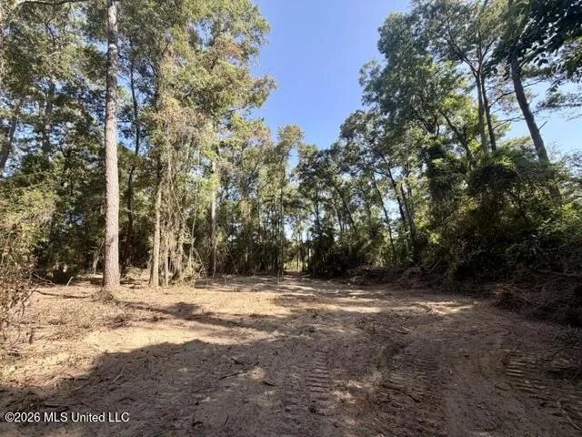 Robert Bateman Road Franklinton, LA 70438
