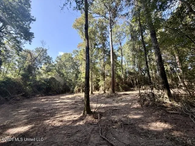 Robert Bateman Road Franklinton, LA 70438