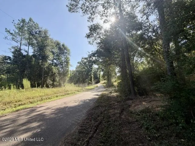 Robert Bateman Road Franklinton, LA 70438