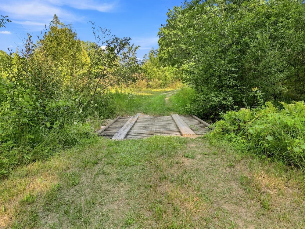 17370 160th Avenue Rodney, MI 49342