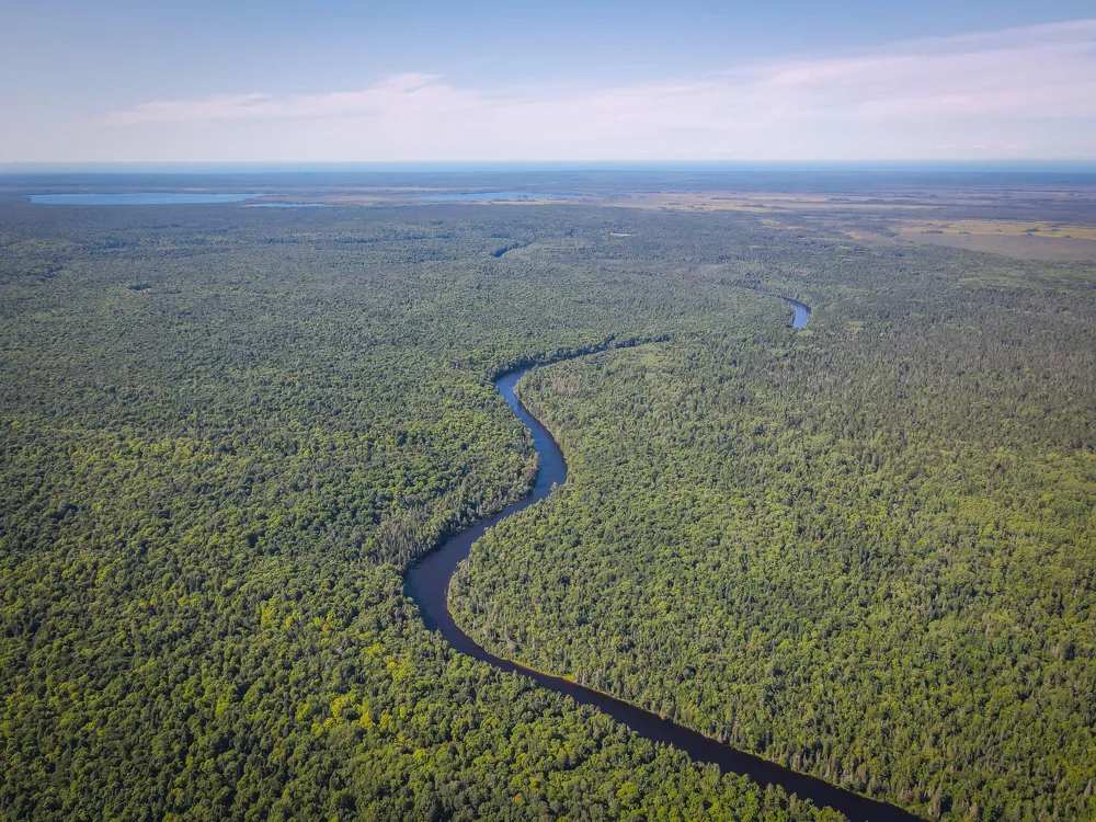 3505 Timber Lost Road Paradise, MI 49768