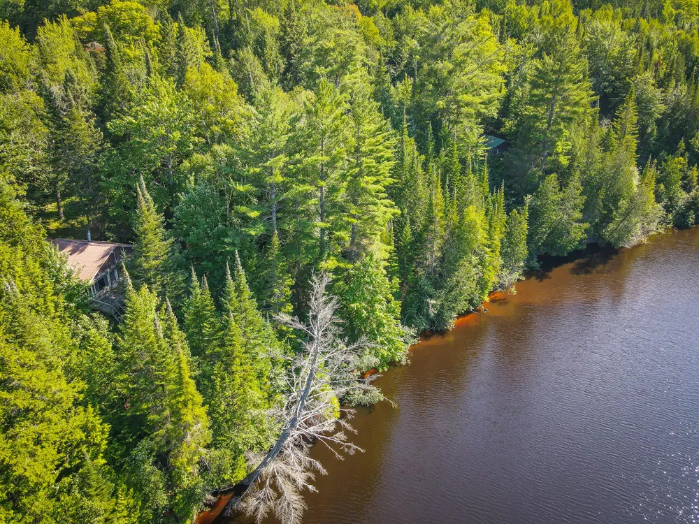 3505 Timber Lost Road Paradise, MI 49768