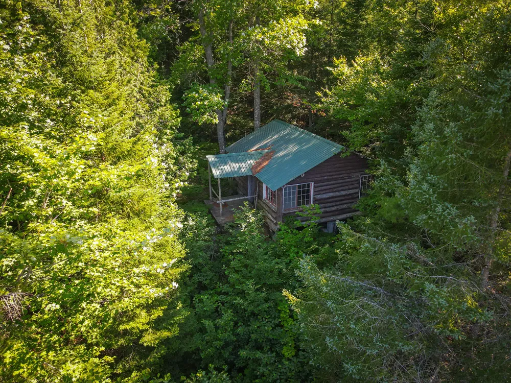 3505 Timber Lost Road Paradise, MI 49768