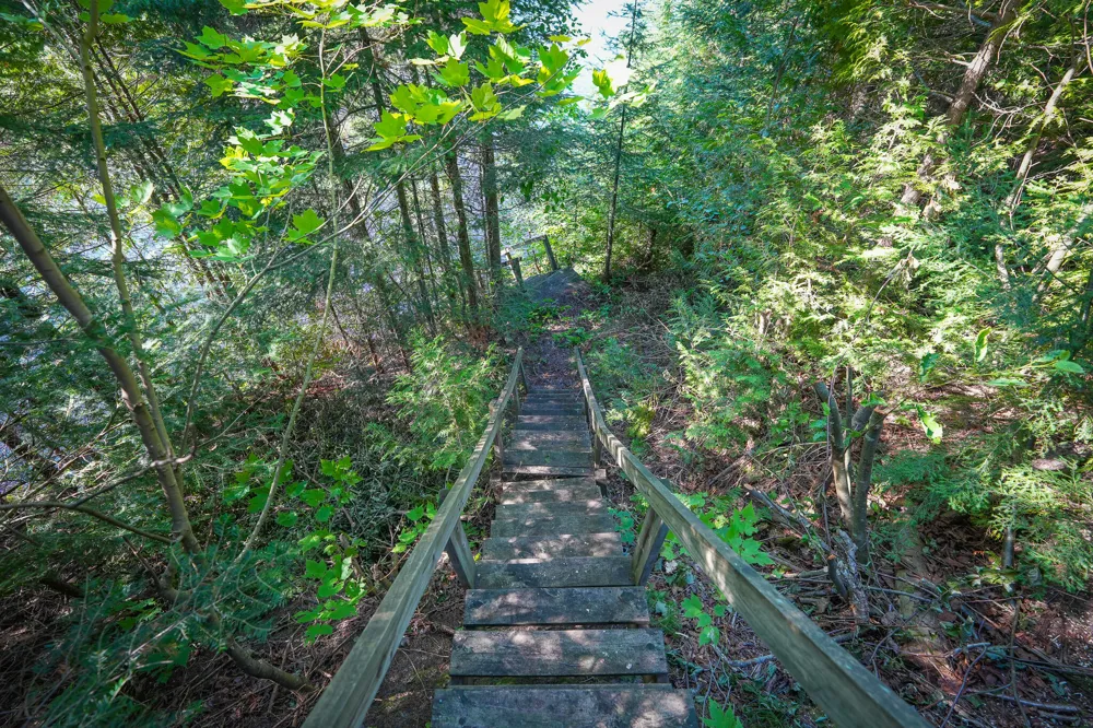 3505 Timber Lost Road Paradise, MI 49768