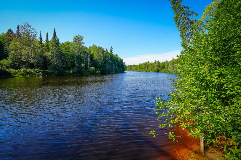 3505 Timber Lost Road Paradise, MI 49768