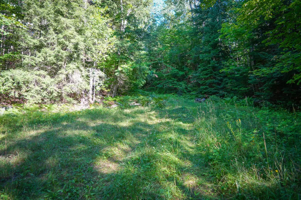 3505 Timber Lost Road Paradise, MI 49768