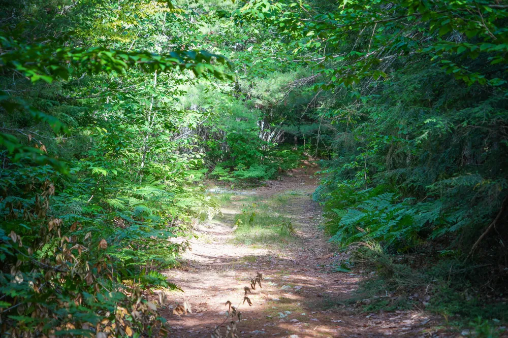 3505 Timber Lost Road Paradise, MI 49768