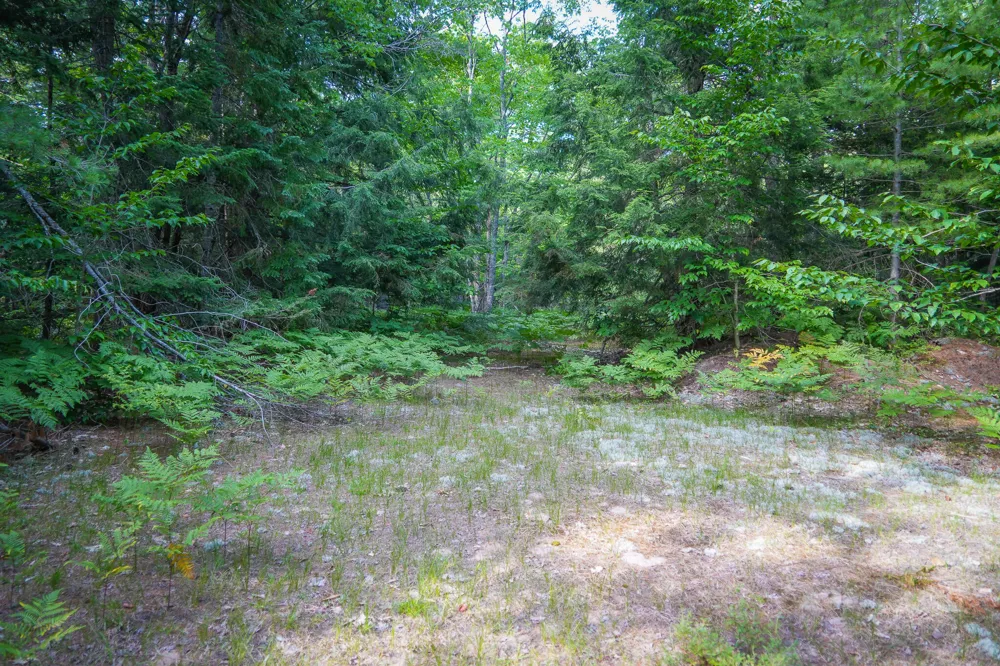 3505 Timber Lost Road Paradise, MI 49768