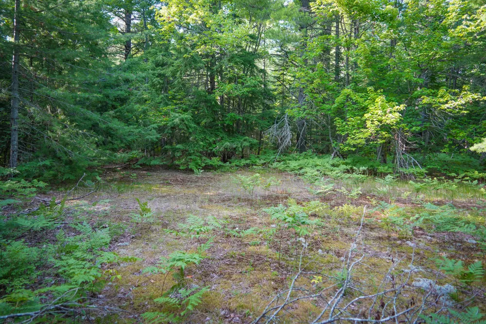3505 Timber Lost Road Paradise, MI 49768