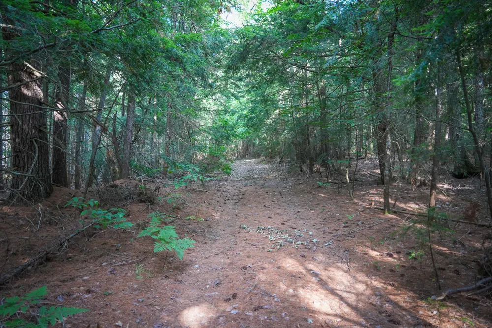 3505 Timber Lost Road Paradise, MI 49768