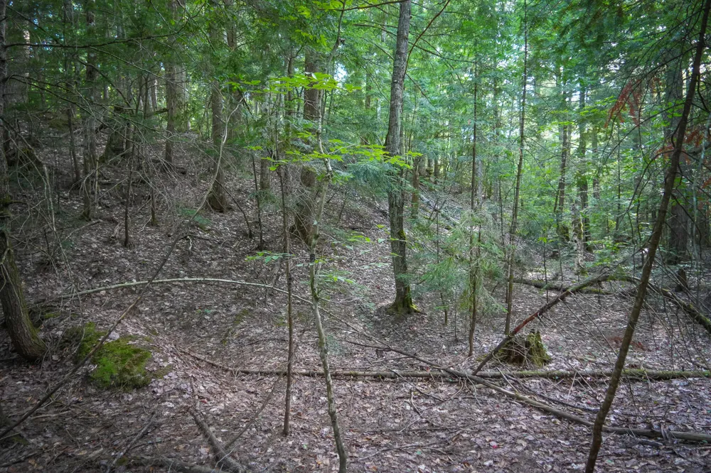 3505 Timber Lost Road Paradise, MI 49768