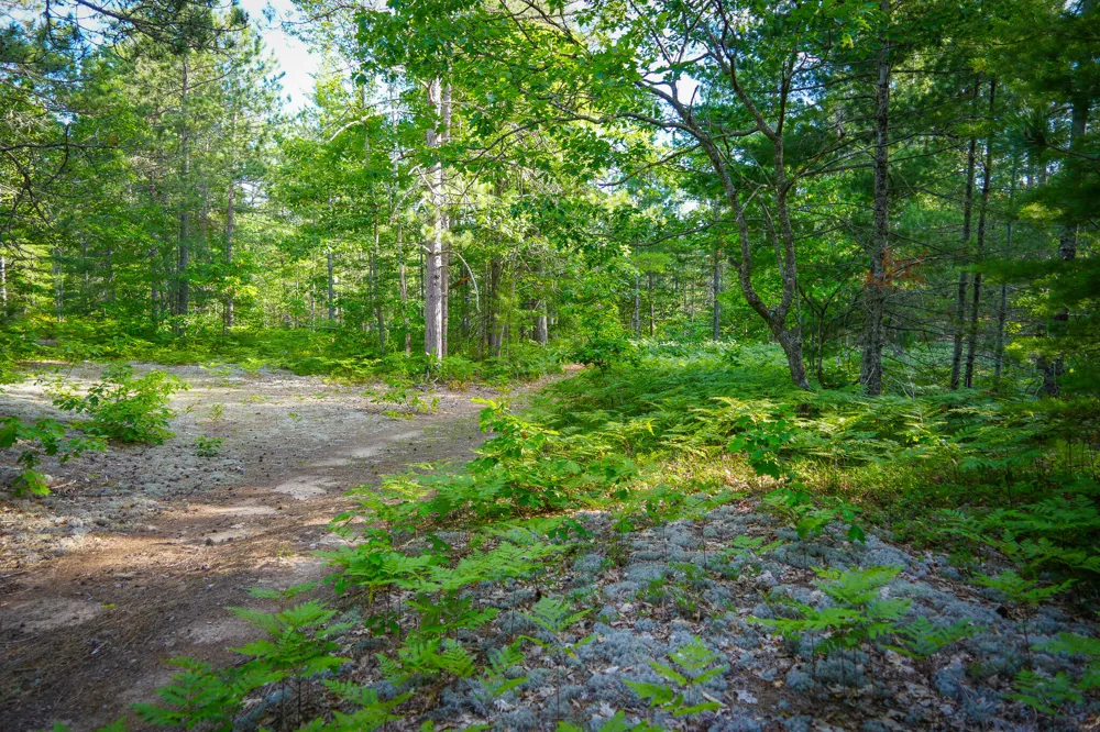 3505 Timber Lost Road Paradise, MI 49768