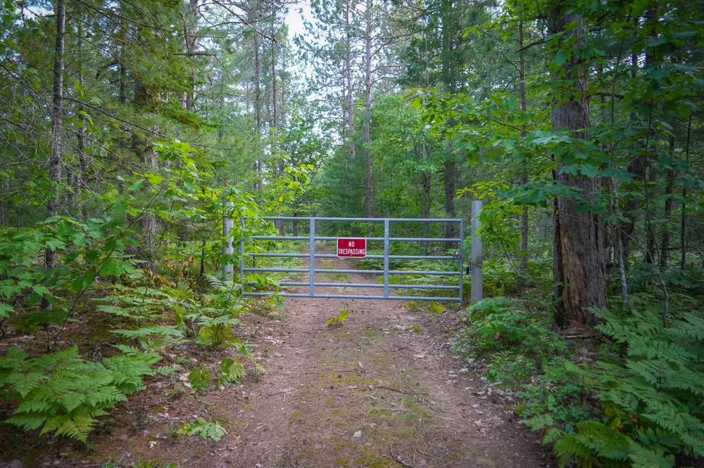 3505 Timber Lost Road Paradise, MI 49768