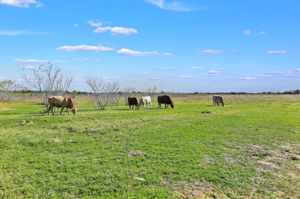 3448 Cr 270 Cameron, TX 76520
