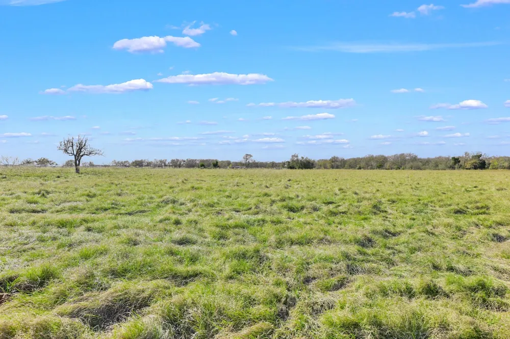 3448 Cr 270 Cameron, TX 76520
