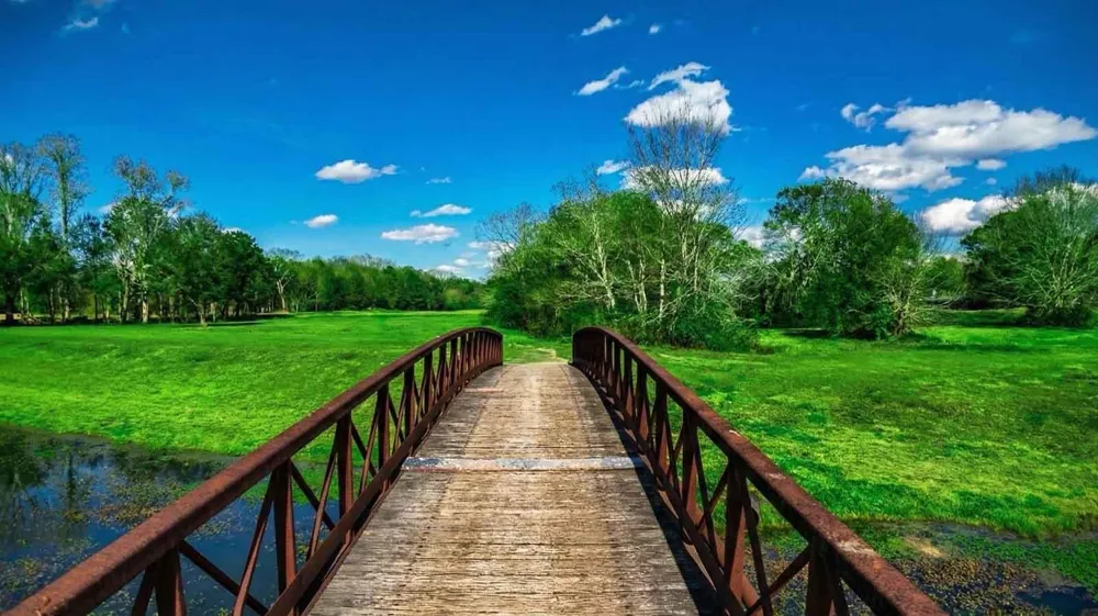 2433 Barton Creek Trail Drive Friendswood, TX 77546