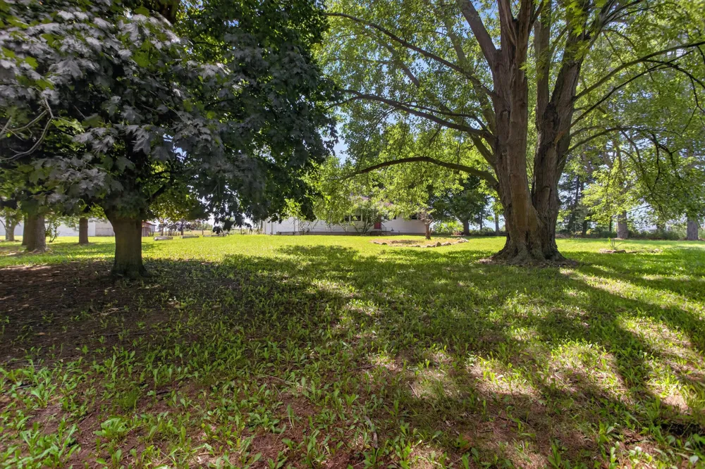 10031 Hastings Road Jackson, MI 49201